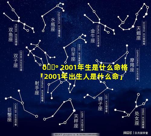 🌺 2001年生是什么命格「2001年出生人是什么命」